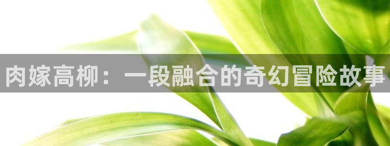 omofun免费动漫：肉嫁高柳：一段融合的奇幻冒险故事配图