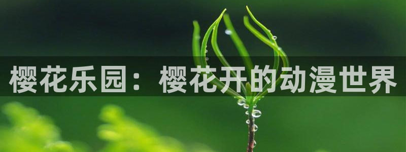 omofun国漫排行榜:樱花乐园:樱花开的动漫世界配图