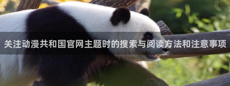 omofun在线动漫免费观看:关注动漫共和国官网主题时的搜索与阅读方法和注意事项配图