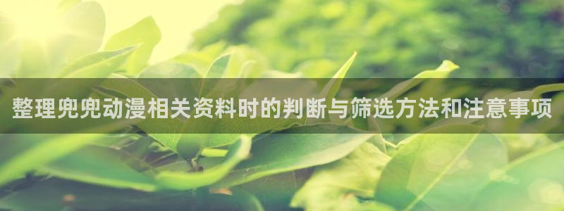 omofun动漫大全免费观看：整理兜兜动漫相关资料时的判断与筛选方法和注意事项配图